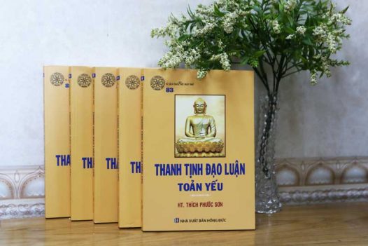 ẤN TỐNG THANH TỊNH ĐẠO LUẬN TOẢN YẾU (C181)
