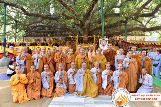 TRAO QUÀ TỪ THIỆN VÀ CÚNG DƯỜNG TĂNG NI TẠI ẤN ĐỘ THÁNG 10/2016 – C91