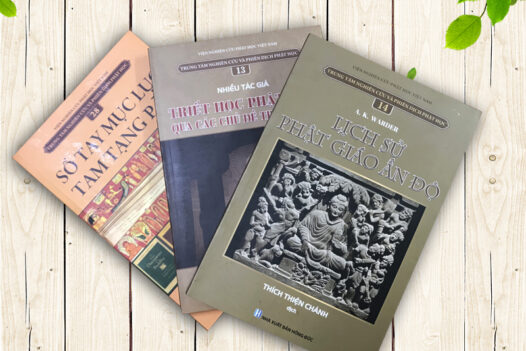 ẤN TỐNG BỘ SÁCH CỦA VIỆN NGHIÊN CỨU PHẬT HỌC VIỆT NAM (C290)