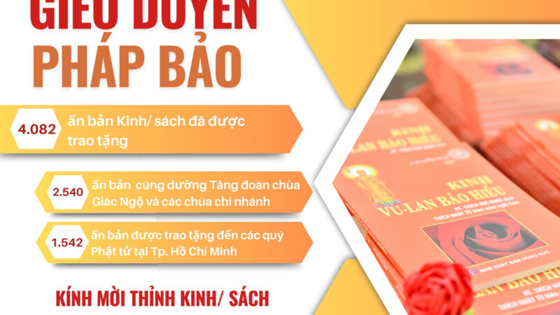 BÁO CÁO SỐ LIỆU ẤN TỐNG TRONG THÁNG 08/2024