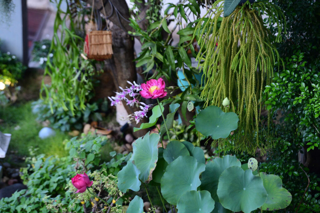 LAN TỎA HẠNH NGUYỆN TỪ BI QUA CHƯƠNG TRÌNH HIẾN MÁU CỨU NGƯỜI TẠI THIỀN VIỆN QUẢNG ĐỨC