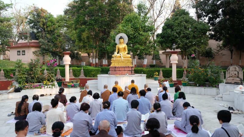 PHẬT TÍCH ẤN ĐỘ – NEPAL (42) Ngày 14/03/2026: Vấn đáp Phật pháp tại vườn thiền Bồ Đề Đạo Tràng