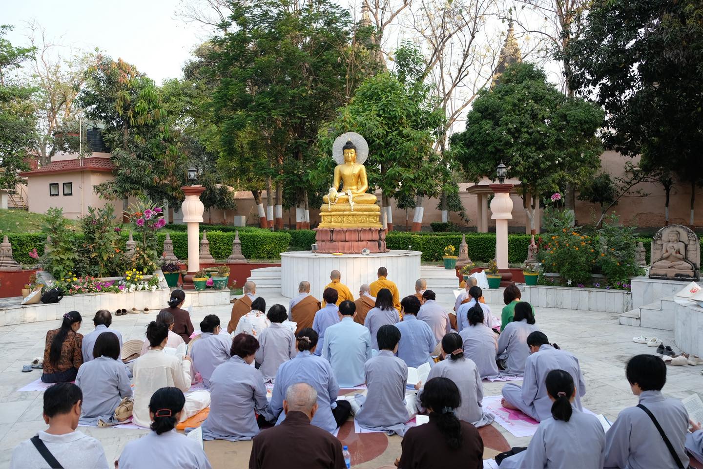 PHẬT TÍCH ẤN ĐỘ – NEPAL (42) Ngày 14/03/2026: Vấn đáp Phật pháp tại vườn thiền Bồ Đề Đạo Tràng