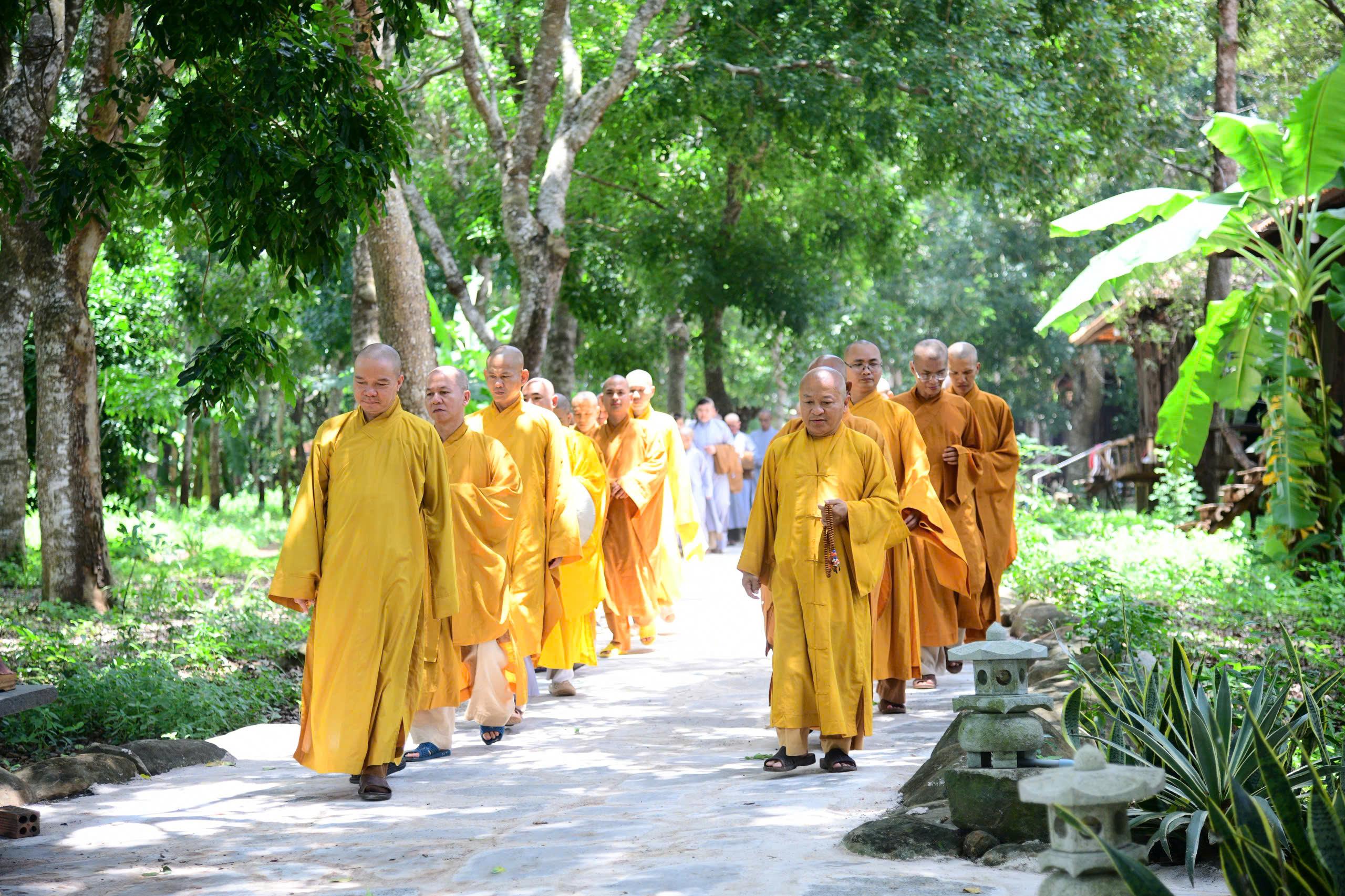 PHƯƠNG TRỜI THONG DONG: ĐI TRONG TĨNH LẶNG, SỐNG TRONG AN NHIÊN